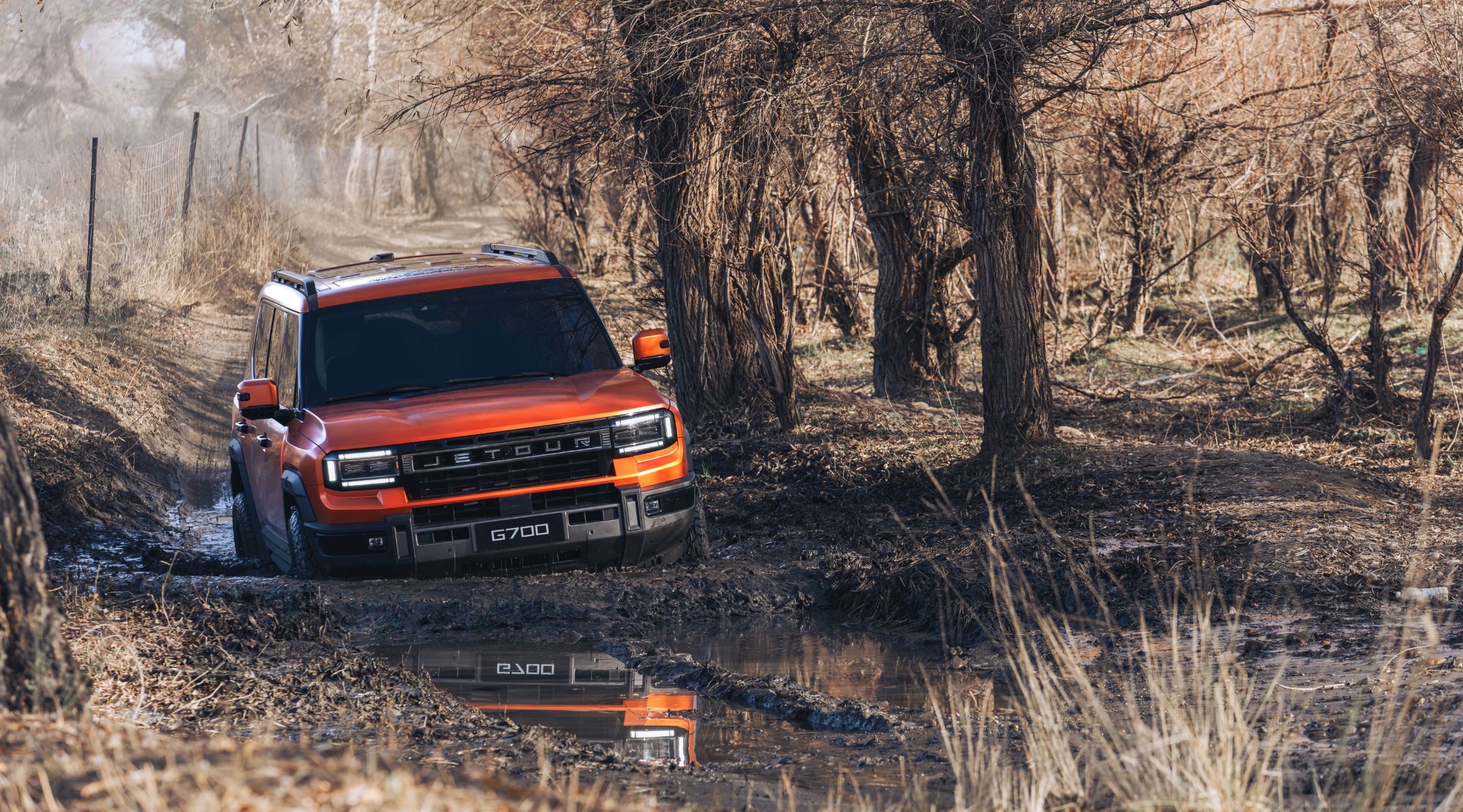 Untitled design - 2025-11-28T172823.525